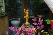 Sen vàng nâng gót ngọc