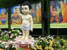 Tìm hiểu Ngày Sanh của Đức Phật Thích Ca