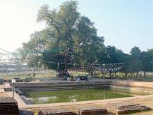 Trung Hoa giúp Nepal phát triển thánh tích Phật giáo ở Lâm Tỳ Ni