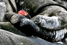 Phật giáo và những Dòng chảy Tư tưởng Hiện đại