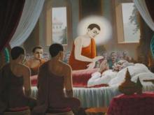 Bên cạnh người già, sắp chết