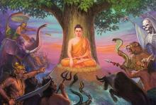 Vài điều suy nghĩ về lộ trình tu đạo và thành đạo của đức Thế Tôn
