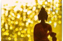 Nghĩ về thân và thù