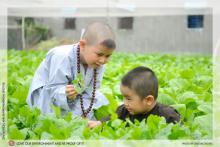Phật giáo với vấn đề bảo vệ môi trường
