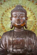 Đồng Thể Từ Bi