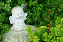 Quan điểm giáo dục của Phật giáo về thái độ sống bảo vệ môi trường