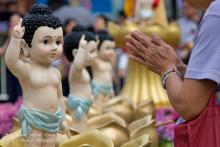 Bậc Thầy của Trời - Người