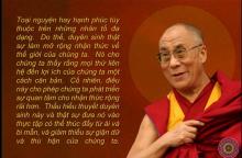 Đường đến an bình thật sự (9)