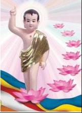 Ý Nghĩa Giải Thoát Trong Bảy Bước Hoa Sen