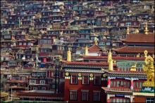 Thăm Học viện Phật giáo Larung Gar ở Tây Tạng