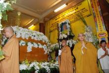 Tùng lâm vắng cội