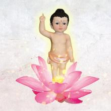 Tuổi Thơ Tôi & Giấc Mơ Mùa Phật Đản