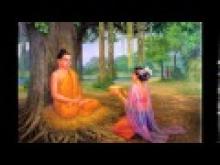 Gia Lai: Lễ Tự tứ tại trường hạ Bửu Nghiêm- TP. Pleiku