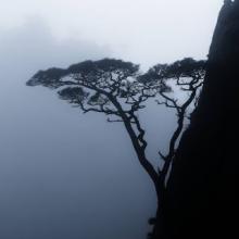 Thế nào là Tự nhiên