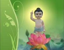 Thiết thực mừng Phật Đản