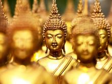 Thơ: Thân cây mọc nghiêng