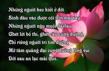 Bảy cái lọ vàng