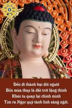 Tự độ