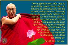 Vì Những Trái Việt Quất Lạnh Lẽo