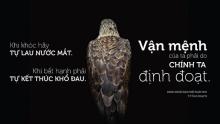Phải trái một bàn tay