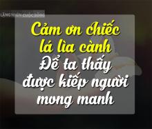 Thơ: Đường Về -  Bụi Bám
