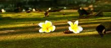 Hướng đến ánh sáng