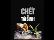 Chết và tái sanh - Không còn phải lo sợ nữa