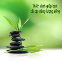 Thiền Phật Giáo Đang Phát Triển Mạnh Hay Đang Suy Yếu Đi?