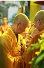 Tình Linh Sơn cốt nhục