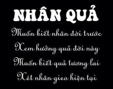 Người không tin nhân quả sẽ ăn mày cửa Phật