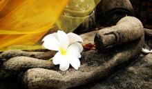 8 điều chiêm nghiệm
