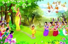 Hiểu Đúng Duy Ngã Độc Tôn Nhân Ngày Phật Đản