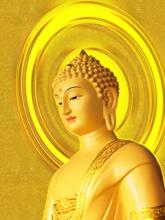 Phật Dạy Lo Việc Tang Lễ Đúng Theo Chánh Pháp