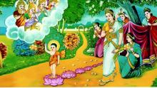 Đức Phật Không Phải Thần Linh Thượng Đế