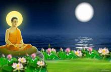 Vua Với  Một Sợi Tóc Bạc