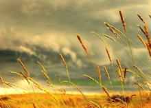Lắng Lòng, Dừng Bước Bến Phương Hồng