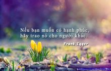 Suy Nghĩ Về Nhân Quả Sớm Mai