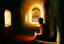 Chùm thơ : Nhớ Đạo Làm con, Chữ nhẫn, kiếp sống mong manh...