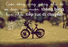 Trải Nghiệm Cuộc Đời