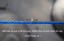 4 kỹ năng vàng chuyển hóa sân giận trong mọi tình huống