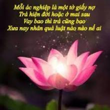 Nhân quả