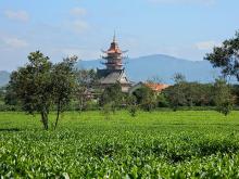Tạ Từ Về Với Non Xanh