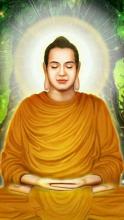 Con ngắm Phật