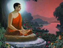 Hồ ly mót vàng