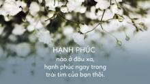 Hạnh Phúc Trở Về