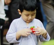 Mùa vu lan bông hồng cài áo