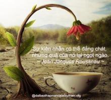Lại nói về Pháp “nhẫn”