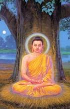 Nguyên Nhân Dẫn Đến Khổ Đau
