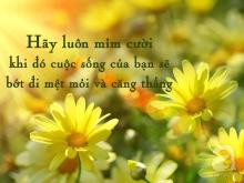 Cảm tác cõi tâm