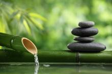 Thiền Phật giáo và giá trị của nó đối với sức khỏe con người